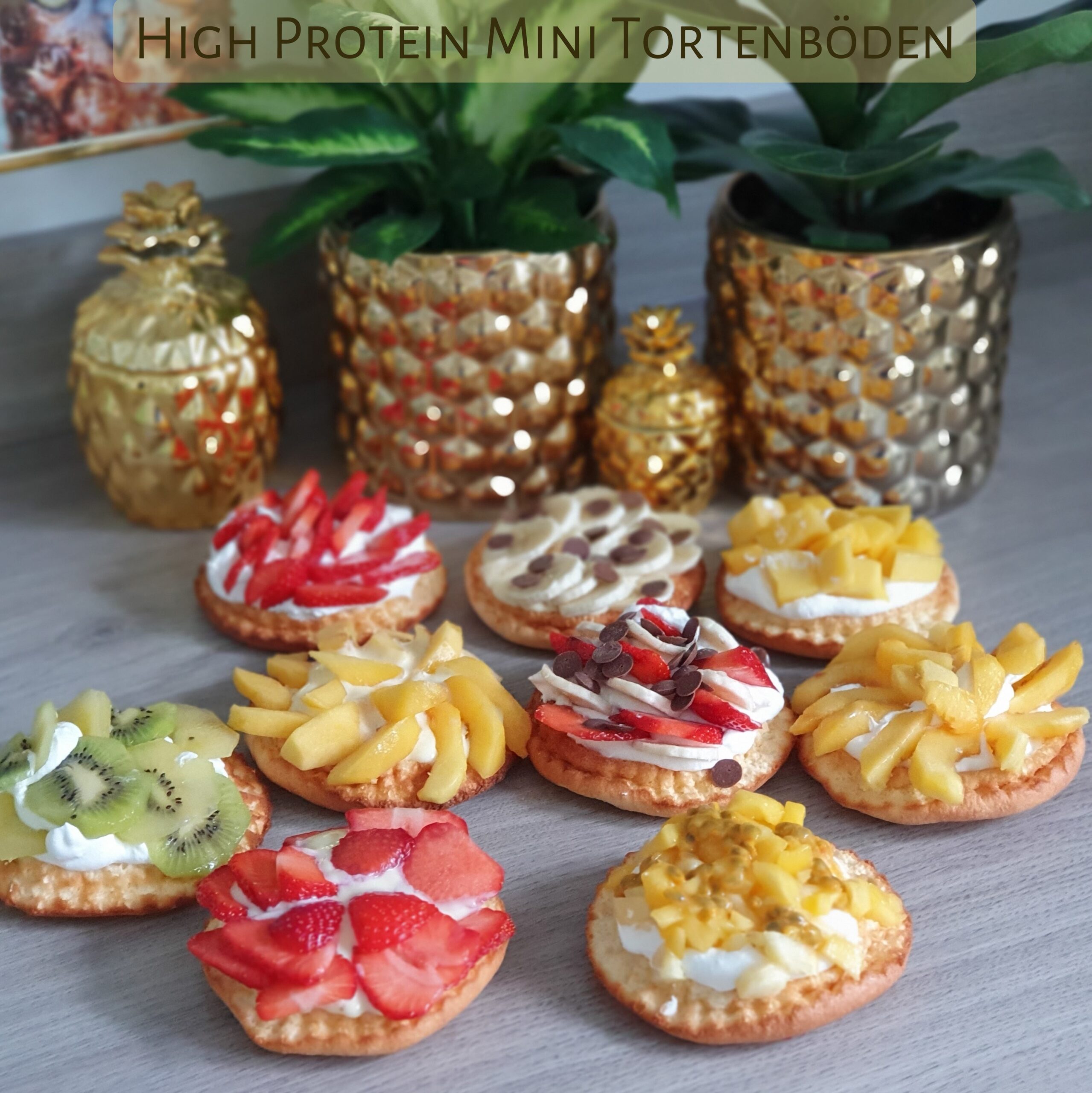 High Protein Mini Tortenböden (25)